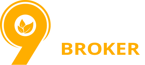 گردونه شانس