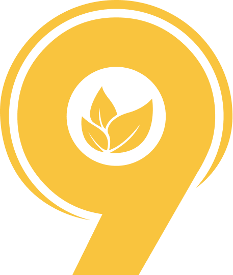 گردونه شانس